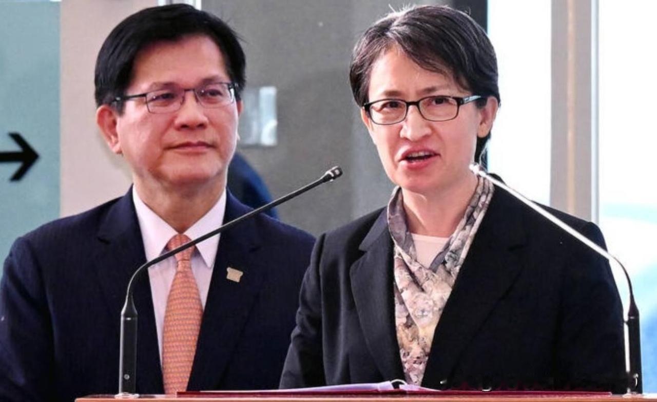 行程已结束，林佳龙回到台湾省，大陆重拳反制，欧方官员半路返航萧美琴低调抵意大
