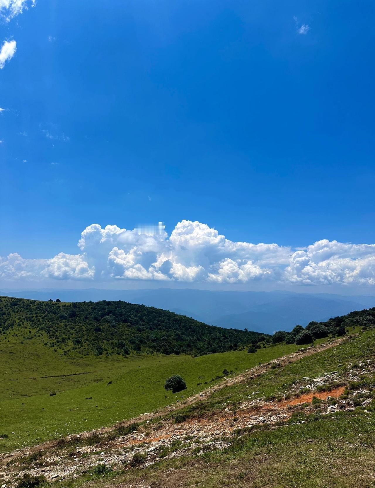洱源鸟吊山⛰️藏着大理最野趣的秘境🐎是横断山脉里的“飞鸟驿站”。这里1550