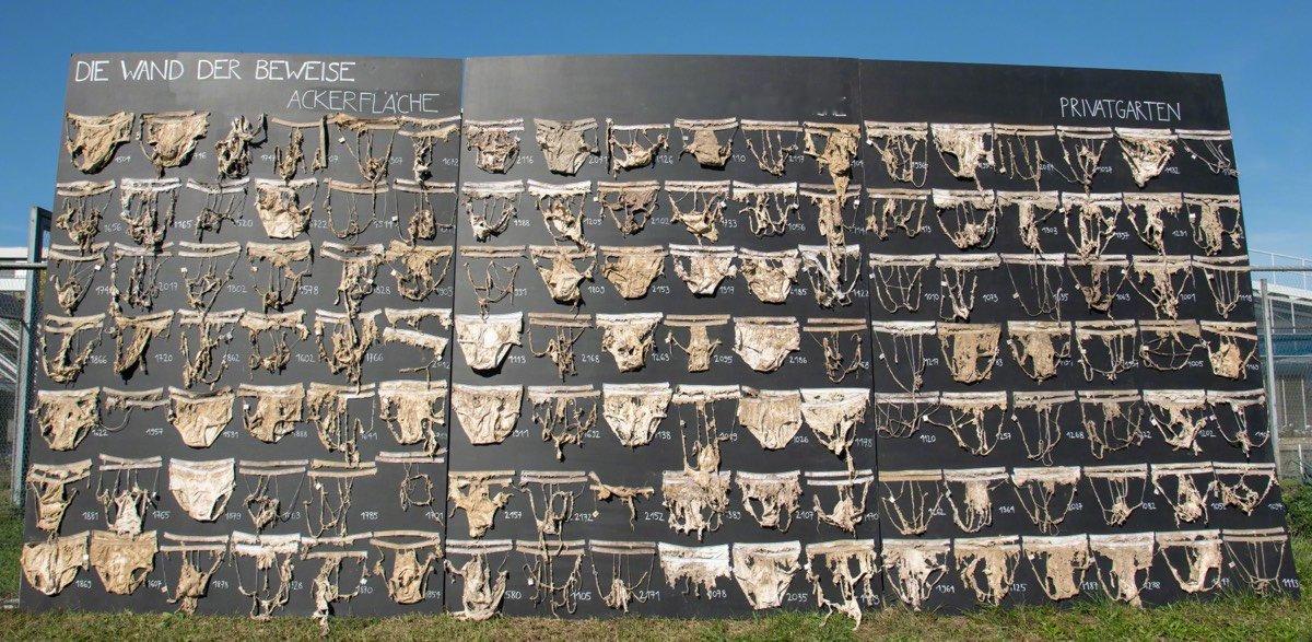 把一条纯棉内裤埋进土里，两个月后挖出来。如果土壤里的微生物、真菌和蚯蚓足够活跃，