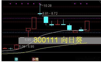 300111（向日葵）的题材主要包括医药制造、半导体材料以及重大资产重组等。公司