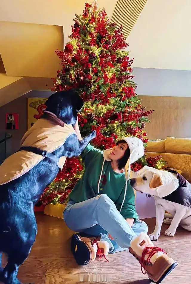 刘嘉玲香港豪宅内景曝光!12月22日，临近圣诞节，刘嘉玲罕见晒出了在香港豪宅里和