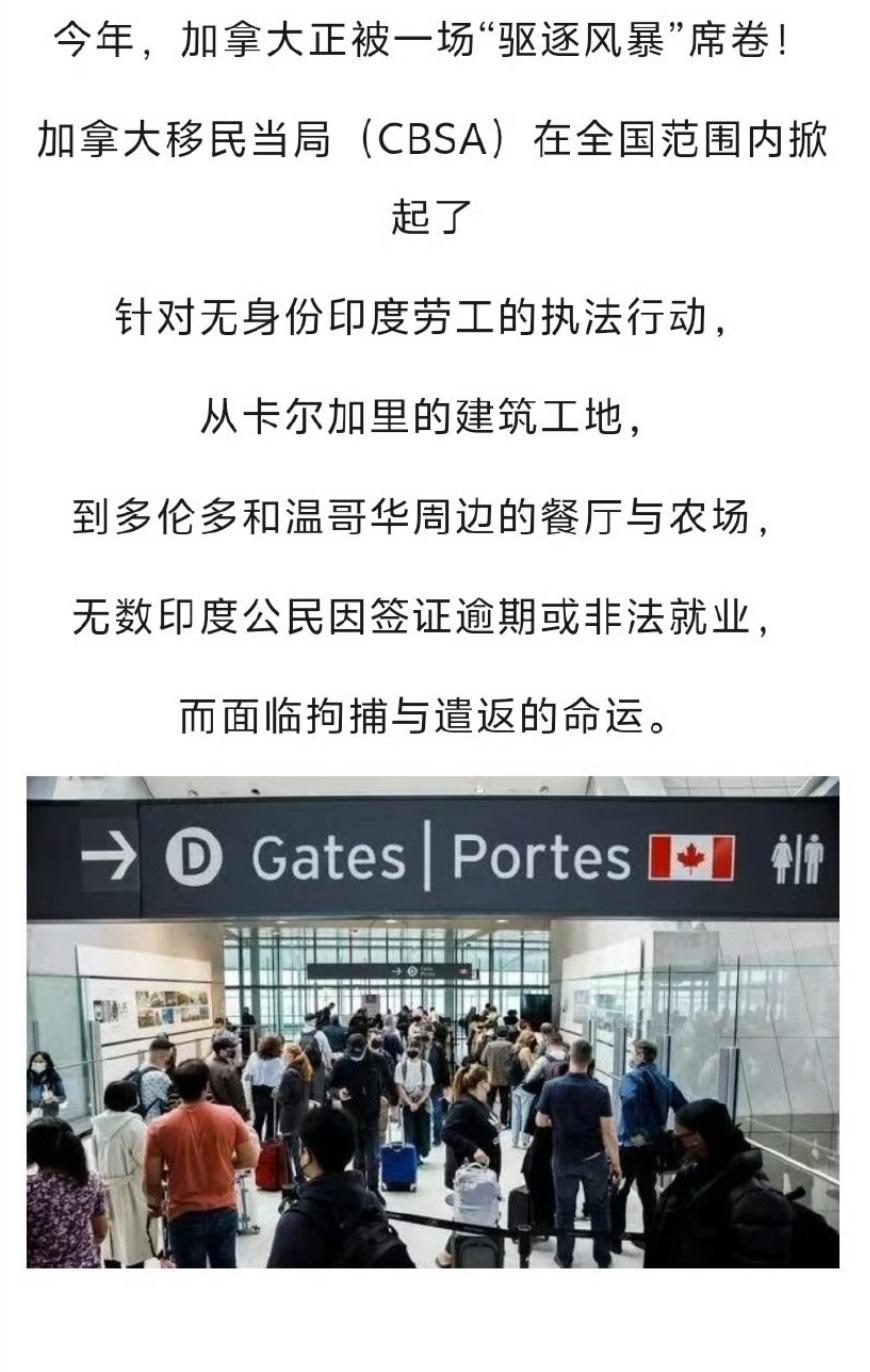 加拿大开始大规模驱逐印度非法移民，当地印度社区已陷入恐慌，政府增派了1000名执
