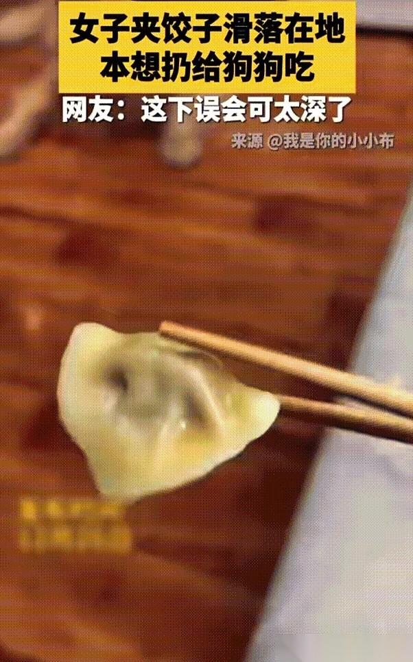 我可能刚刚亲手导演了一场年度悲剧。起因，只是一个掉在地上的饺子。我夹给狗子，