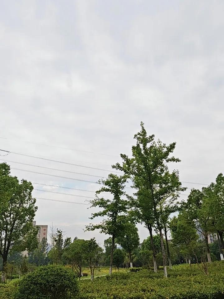 50岁后，身上这3处越“软”，越能活过90岁！三个秘法请收好人到中年，最怕倒