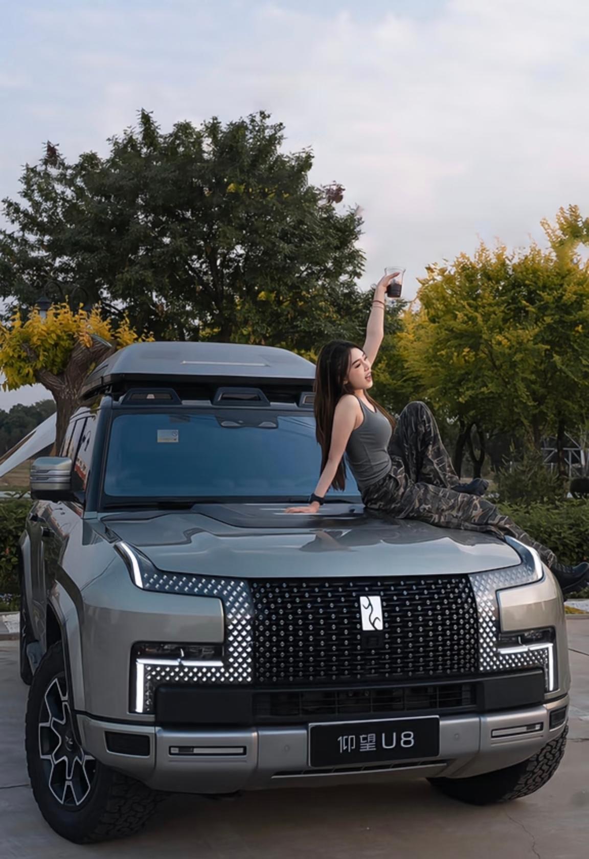 这几款看起来超有面儿的比亚迪：1. 仰望U8L鼎世版（百万级全尺寸豪华越野，