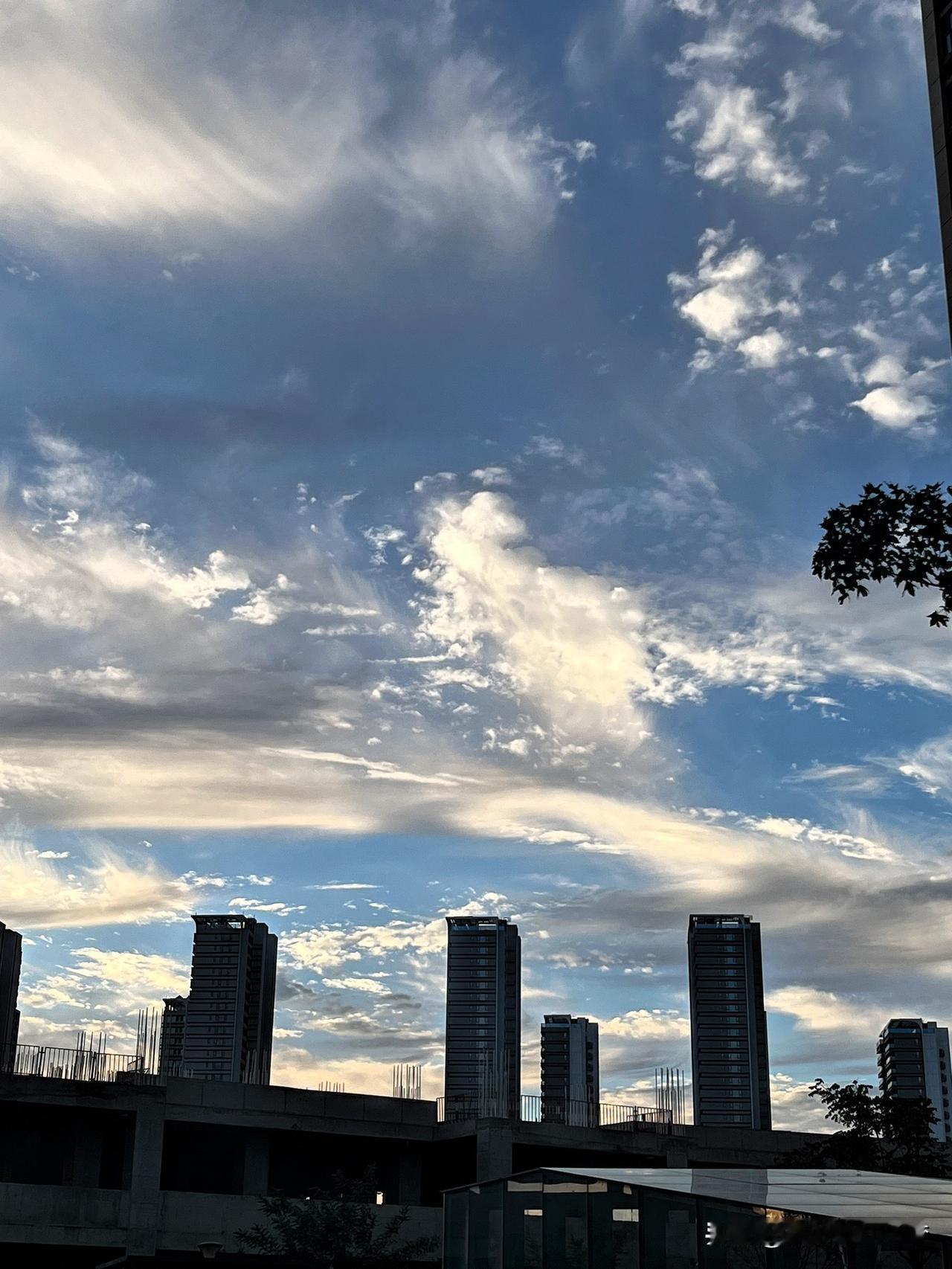 认知低的七大表现：一、犟。凡事认死理，犟起来九头牛都拉不回来，就觉得自己是对