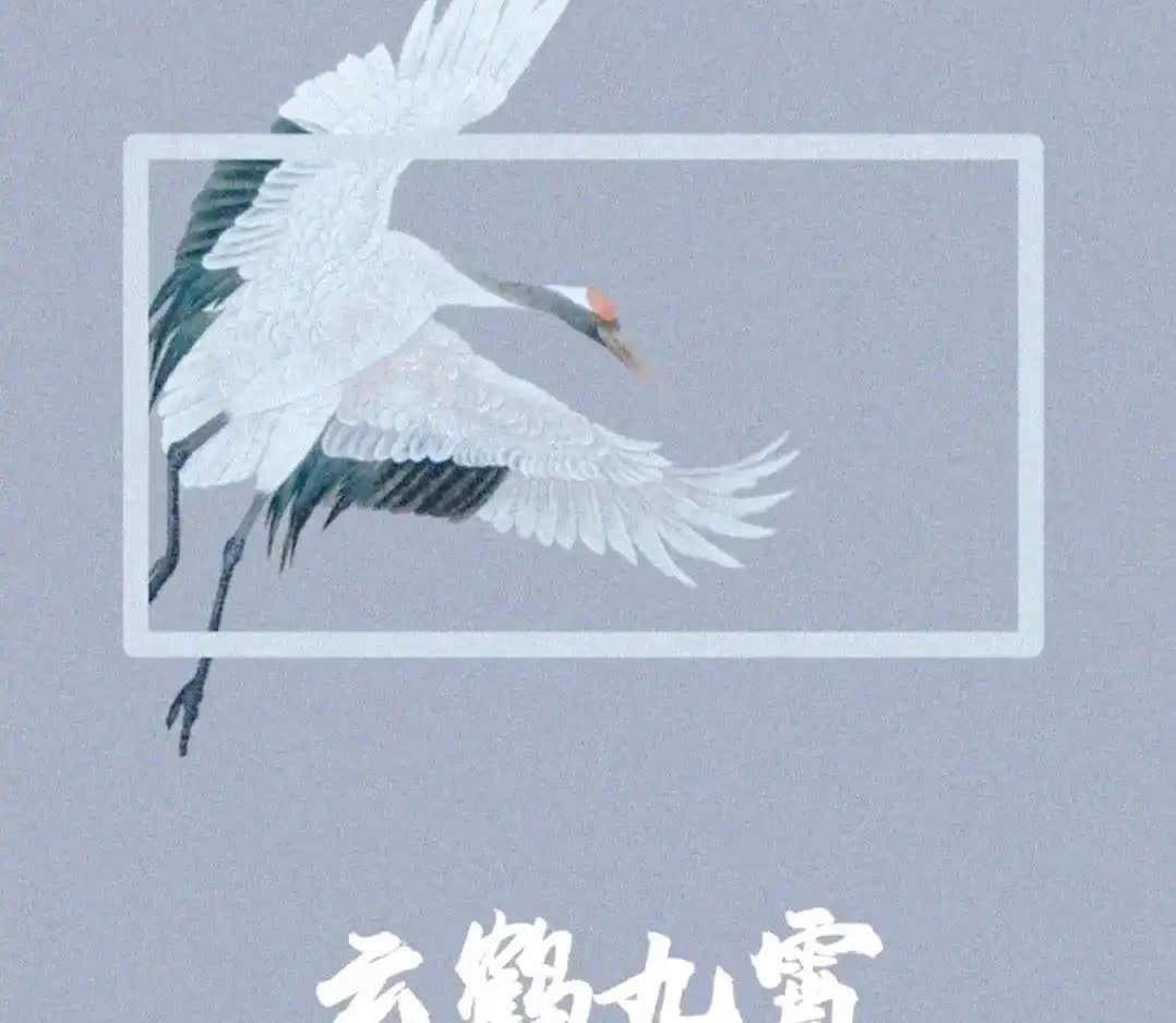 德云社“云鹤九霄”谁是大师兄？1，云字科大师兄：原本是闫云达，他离开之后现在