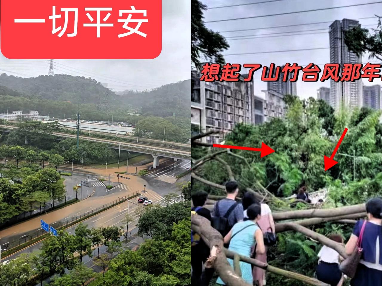 桦加沙”拐道了据报道“桦加沙”拐道了，一晚上担惊受怕，天亮了终于松口气，睡一