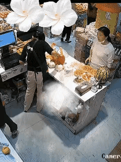 刷到长沙这家水果店的事儿，我真给整笑了！合着现在撒泼还得“演”一出，这女的操作也