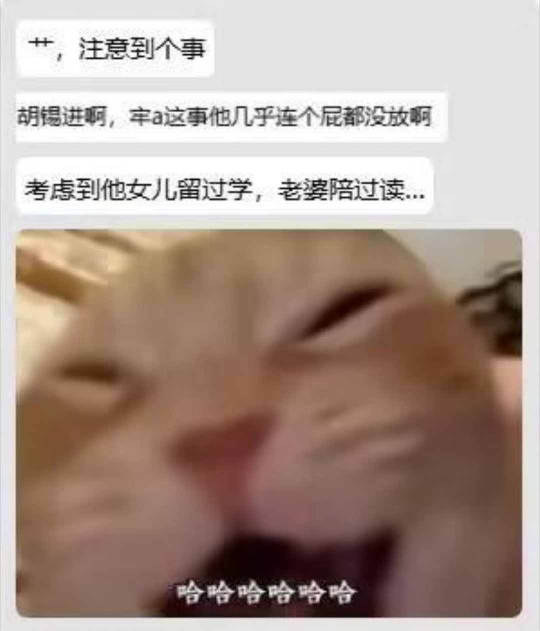 第一次因为老胡笑出了声...你们也太调皮了因为牢A开始担忧留学生群体被污名化