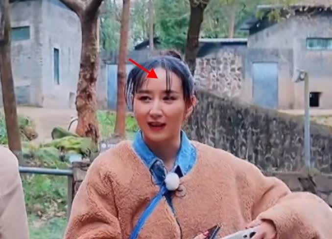 《妻子的浪漫旅行2025》即将收官，哪哪都好，就是受不了胡静的这一点！这