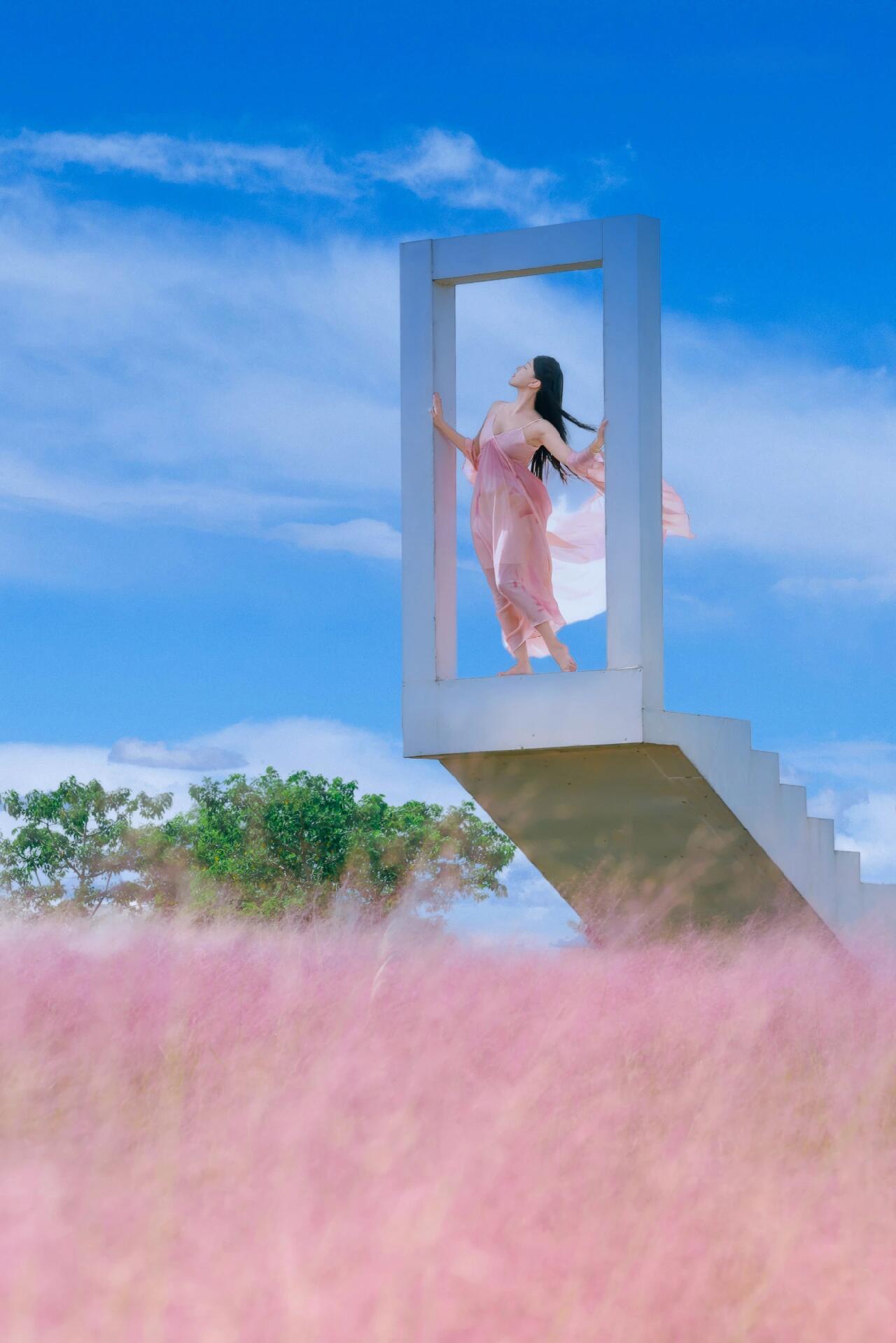 【粉黛仙子】｜户外人像摄影粉黛草中好像有一位仙女，她身着淡粉霓裳，在如烟