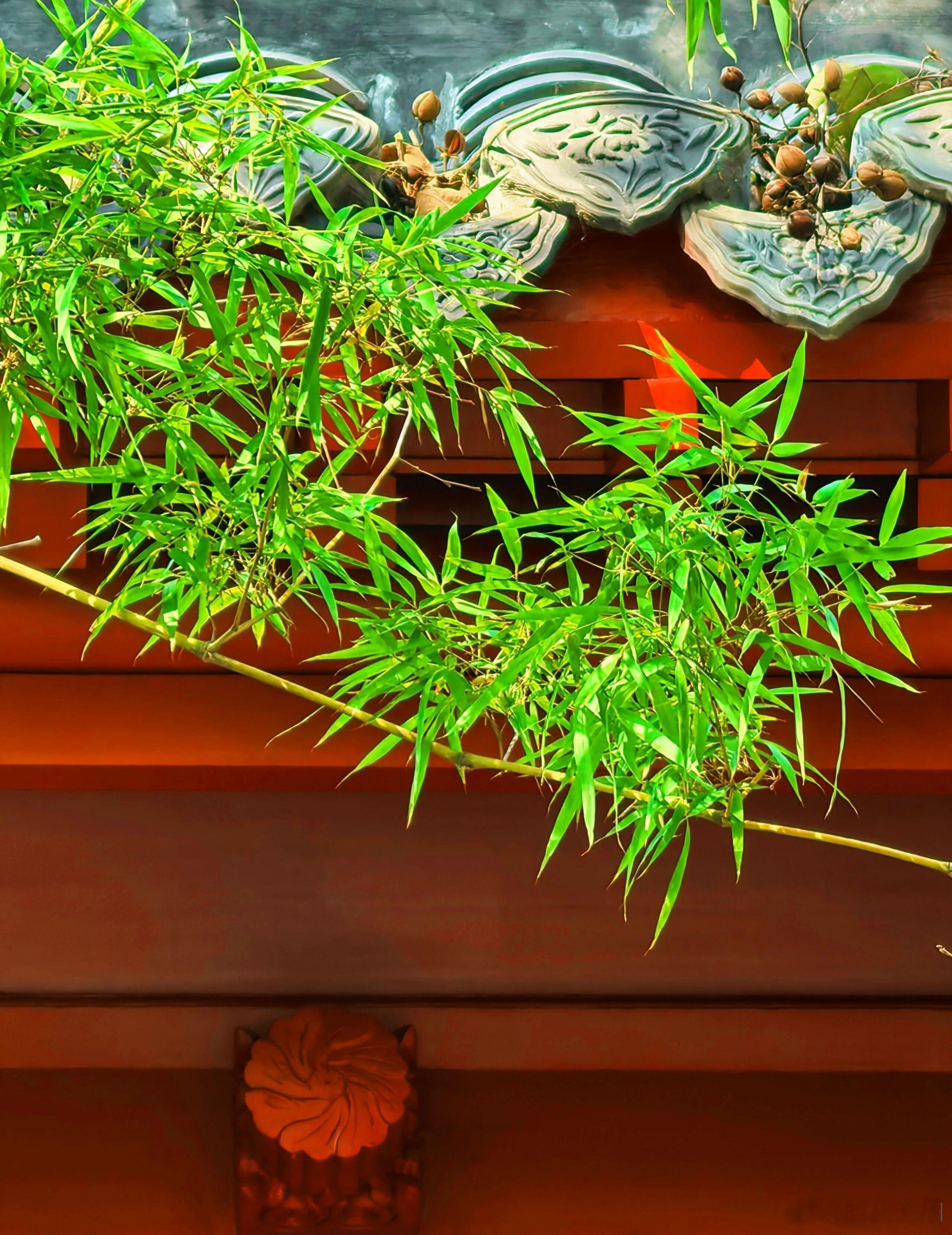 真正顶级的高手：​一、不相信任何人，不可怜任何人，不深交任何人；​二、不与任何人