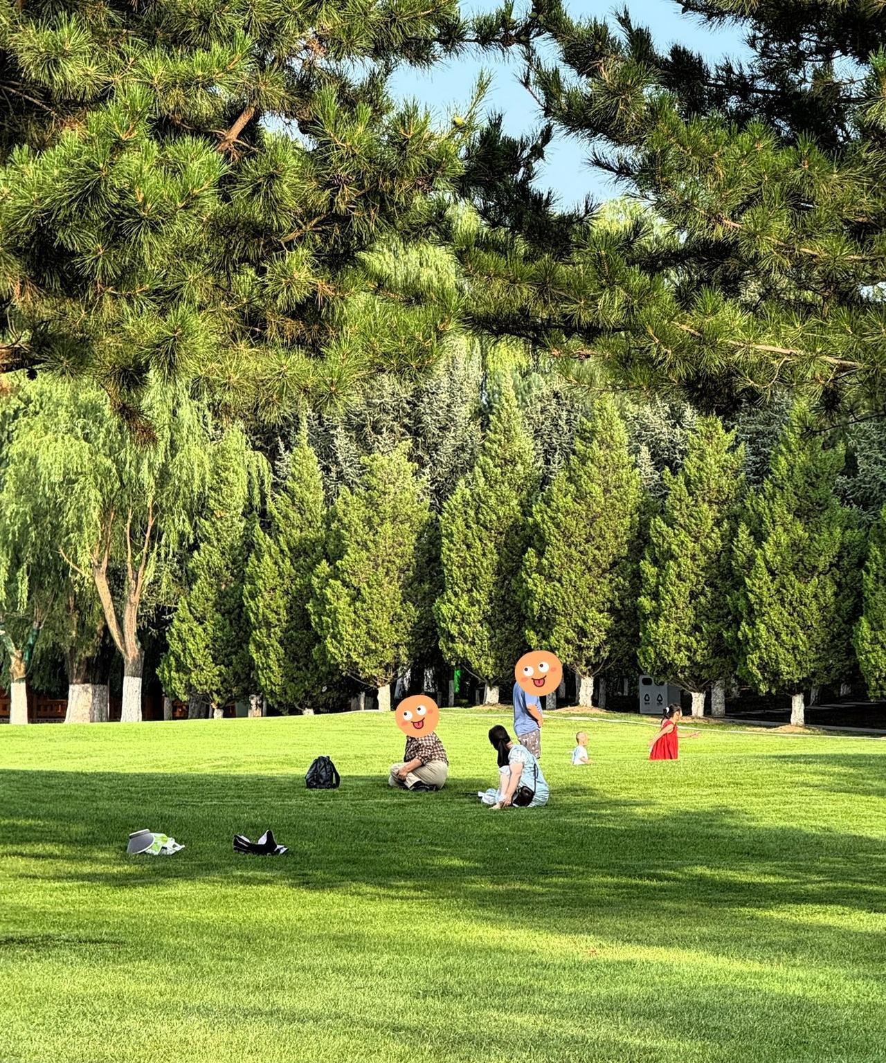 夫妻俩自驾300多公里，来到甘肃平凉。这里不仅凉快，还找到了一处房前屋后都是绿茵