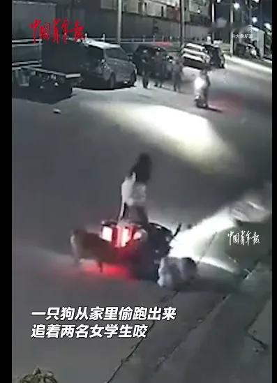 汕头烈性犬街头追咬女学生，外卖小哥率众救人，狗主人触法被拘！（文章内容仅供参