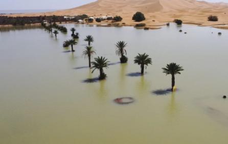 到处都在传，说史上最强的气候灾难进入倒计时，全球都要跟着倒霉。甚至有人传得有鼻子