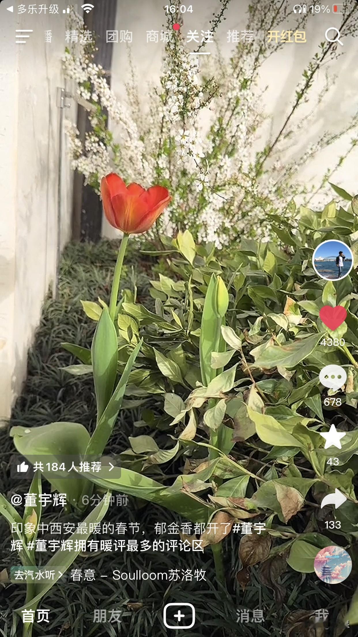 董宇辉发了他家郁金香开花的视频一堆人在评论区问这是不是翠花这不是明知