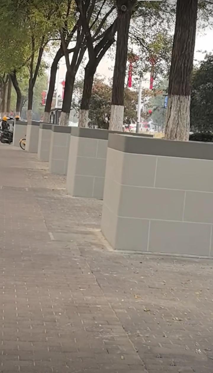 新鲜，西安给大树贴磁砖！西安给许多行道树贴上了磁砖。看来这是一个相