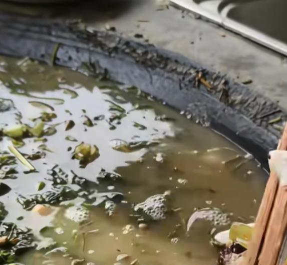 周末，小姨儿子来我家玩，我正好在煮猪食。想着小姨儿子好不容易来我家一趟，我赶忙去