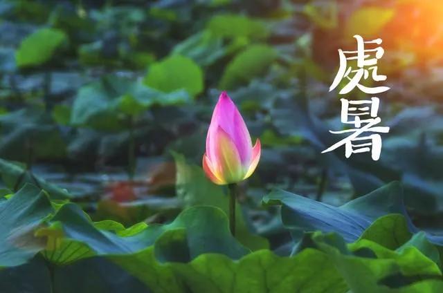 今年还能热多久？8月23日处暑后会凉快吗？2026年出伏降温时间来了！202