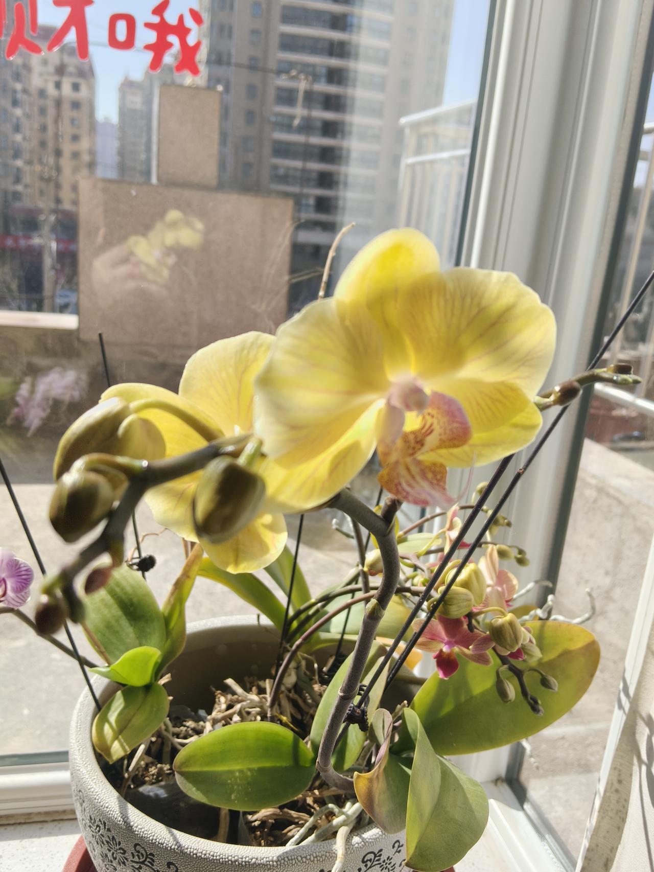 作法自毙的北府军大将刘毅是北府军的大将，他不满于另一位将领刘裕的压制，起兵反