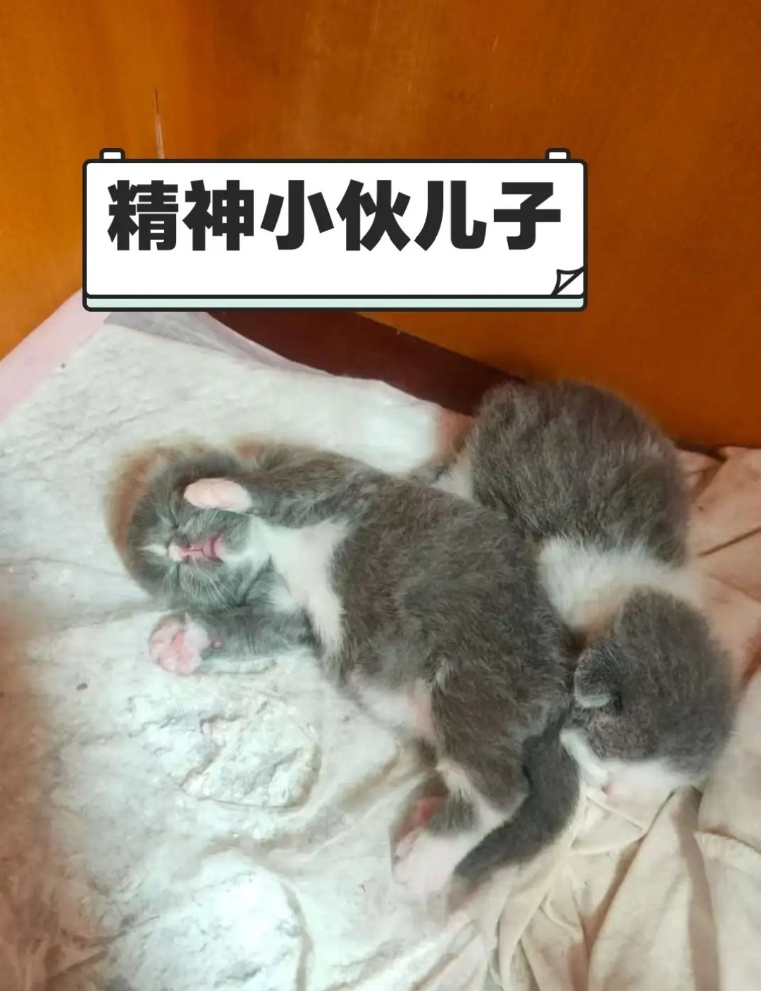 怎么也想不出来