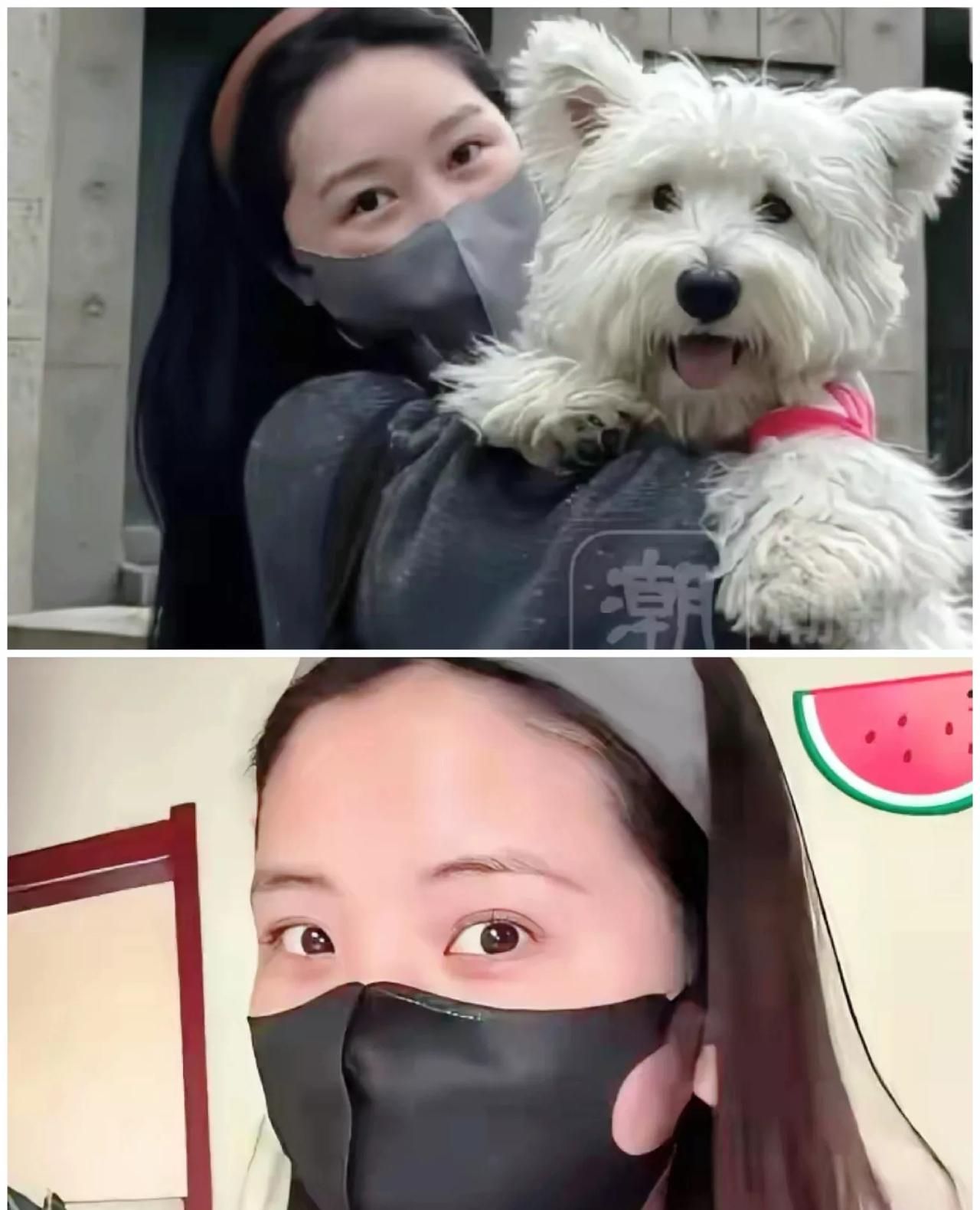 李女士沉默了，就连小区业主都快无语了，真的是下楼取个快递，差点被窜出来的泰迪