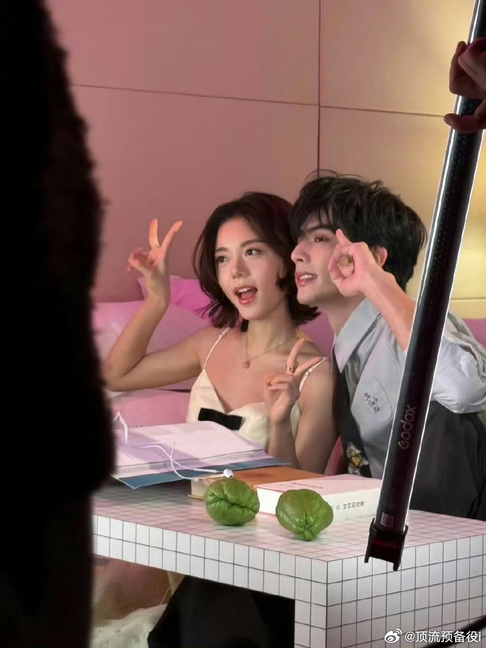 宋威龙赵今麦骄阳似我可以二搭嘛好配的豹豹猫猫