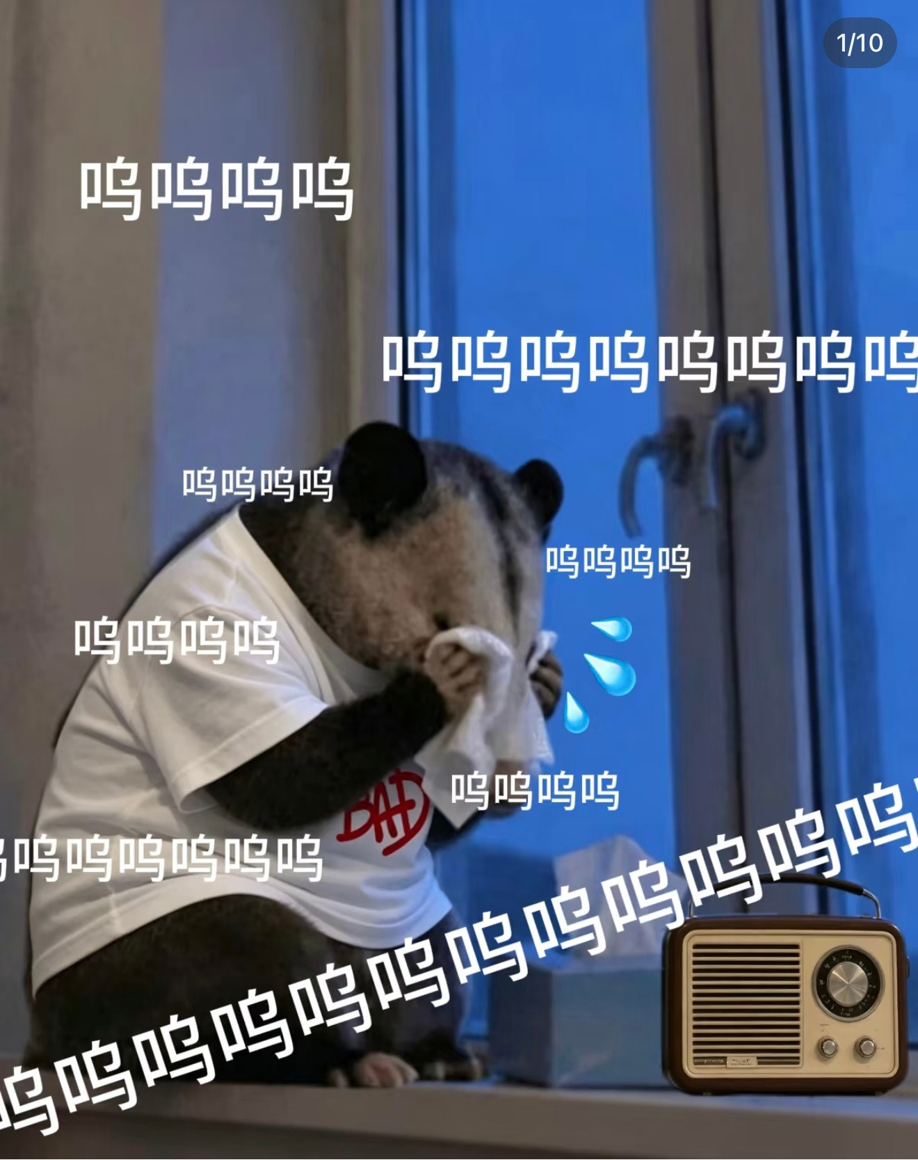 身在贵州心在曼谷你们呢[哭哭][哭哭][哭哭]​​​