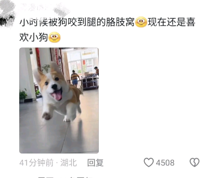 现在还是喜欢小狗