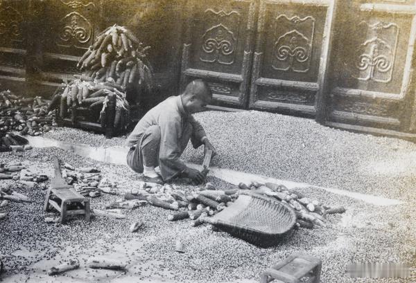 搓玉米棒子，1932年​​​