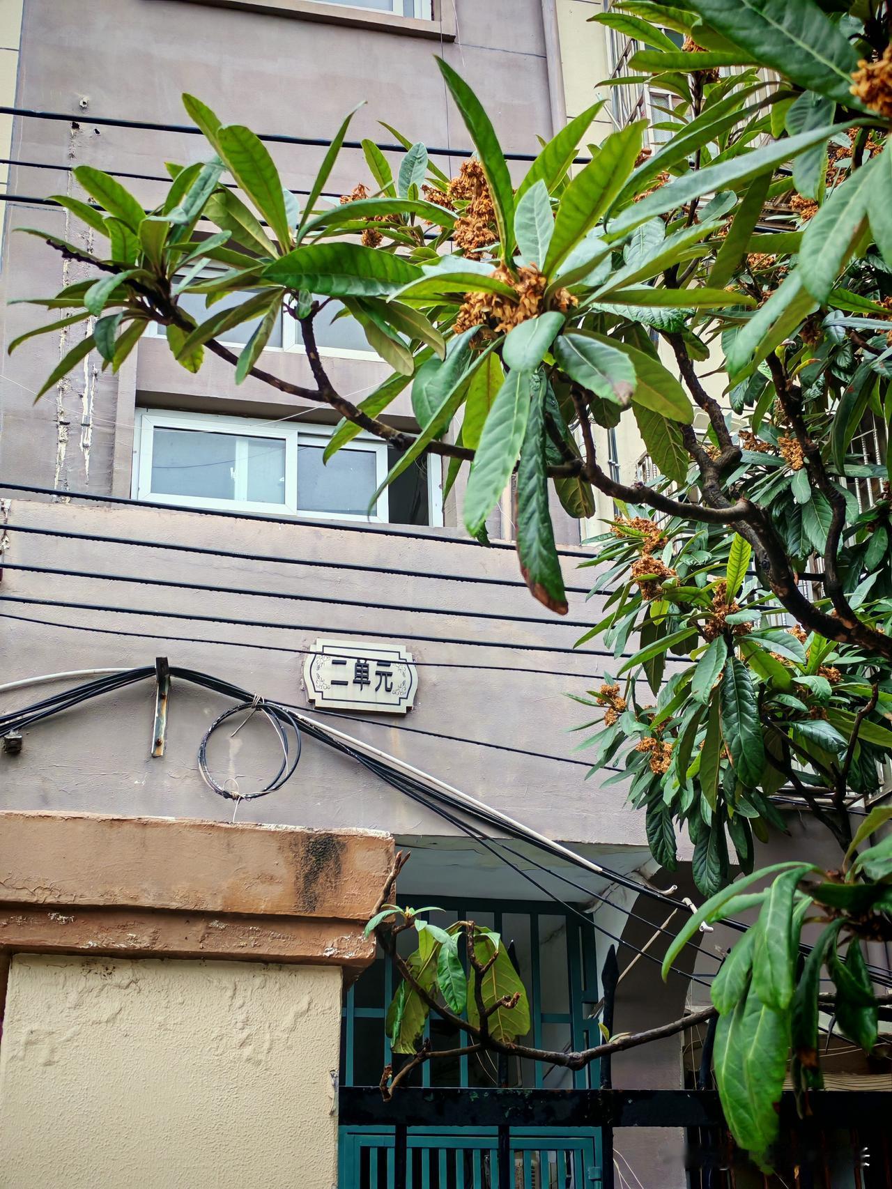 大年初二，本该是走亲访友最热闹的时候。邻居张阿姨却做了一个让人意外的决定：今