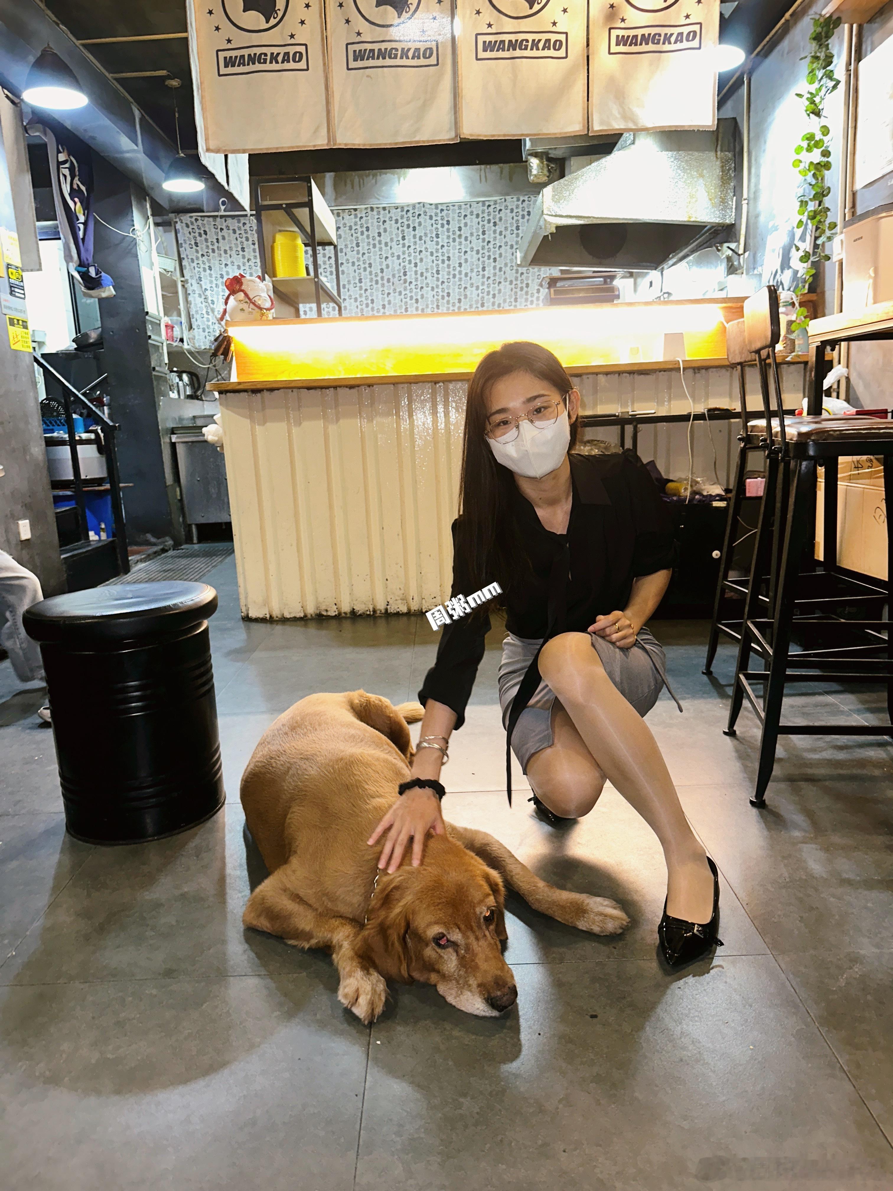 和小狗玩