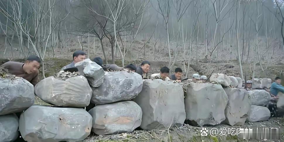 这就是我不看国产剧的理由