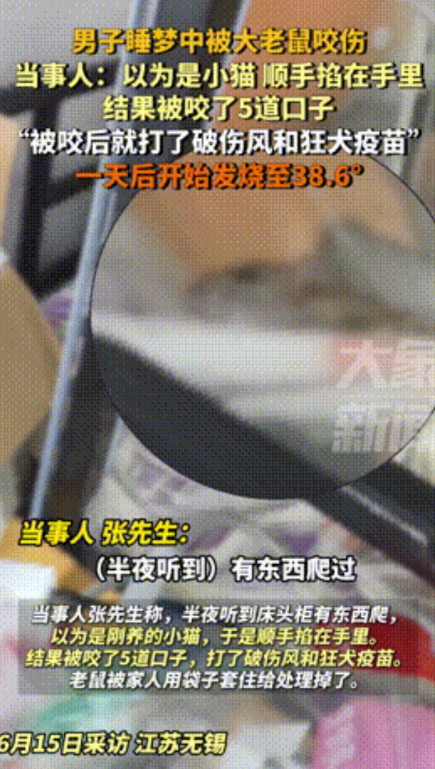 “倒大霉了！”江苏，男子睡梦中听到床边有动静，以为是刚养的小猫，抓手里被疯狂咬出