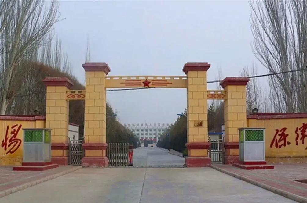 告别军旅生涯：退伍军人重返老部队的五大挑战与建议