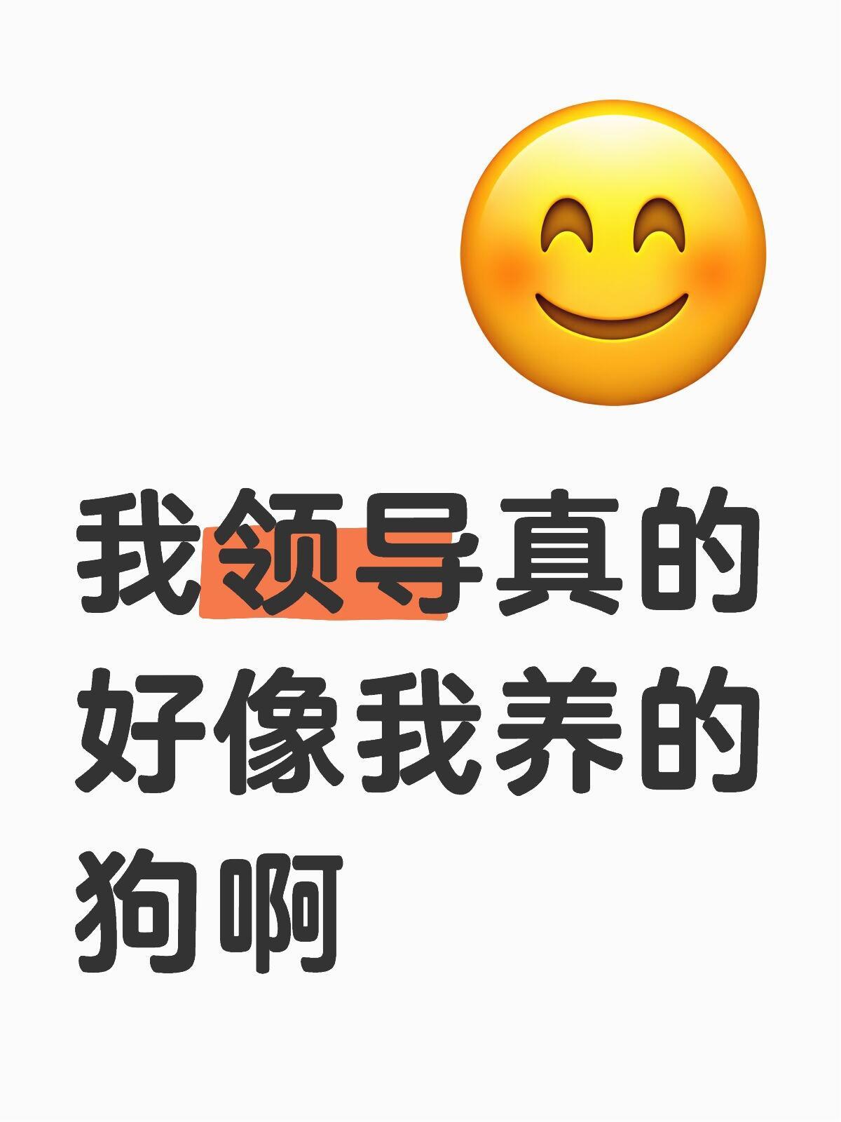 把领导当狗养后上班好开心呀🤩[抱抱][点赞][憧