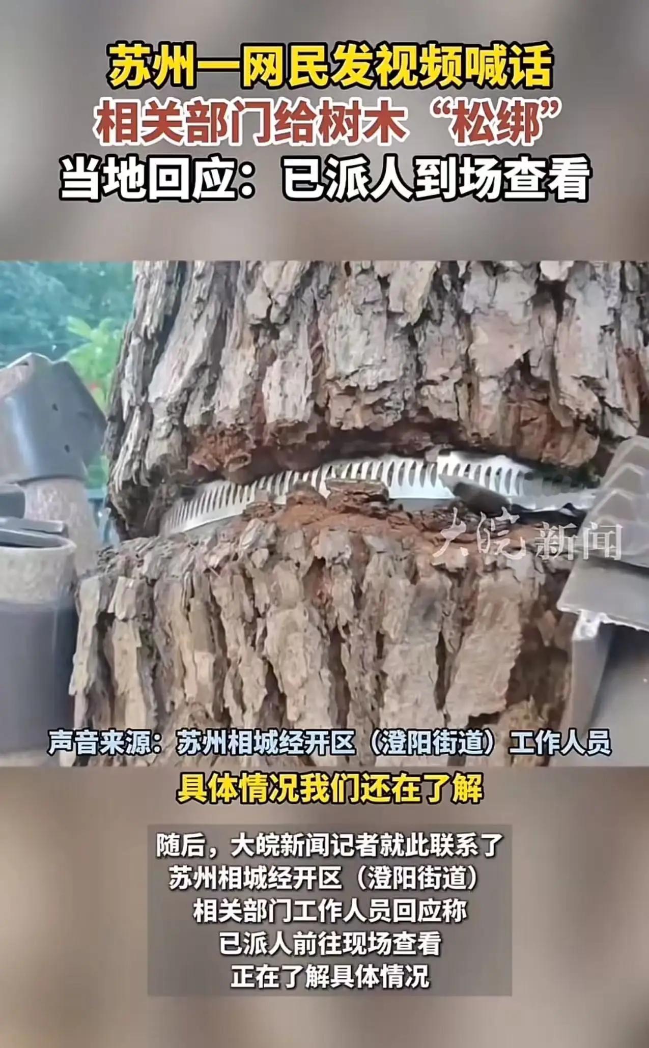 苏州icon，男子发视频喊话：“请相关部门过来看看，给树木松松绑，帮帮它们吧！”