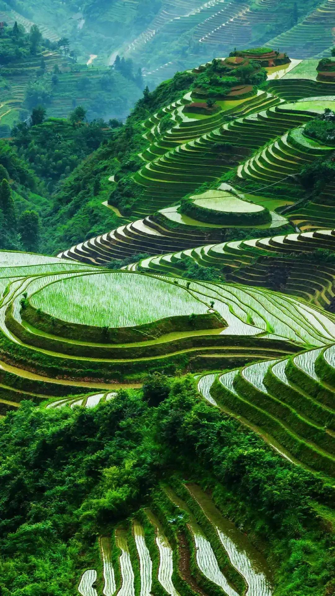 绿树成荫，绿意盎然。层层梯田山连山。深山空气好，回归大自然。