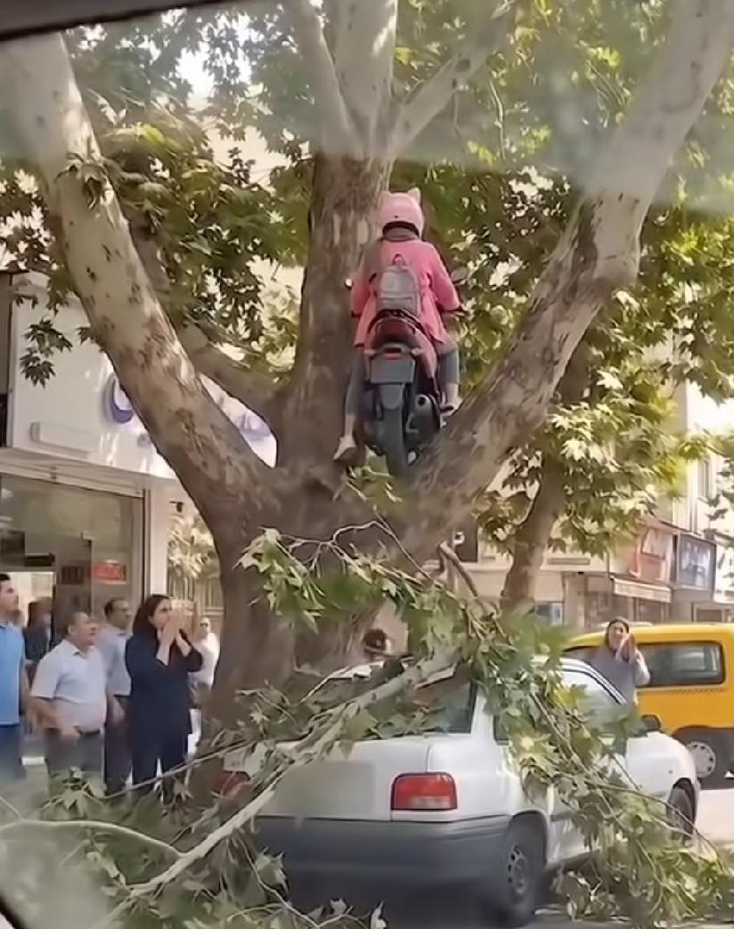 爬都爬不上去，她居然带个电动车，轻轻松松的就上去了？这不，一战成名了！一次成功