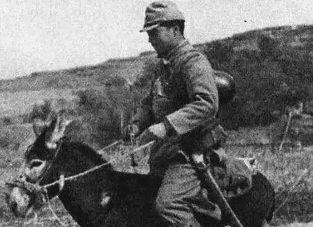 1945年1月5日，寒风刺骨，驻扎在广西永合村的一个日军军官，骑着一匹高大的红马