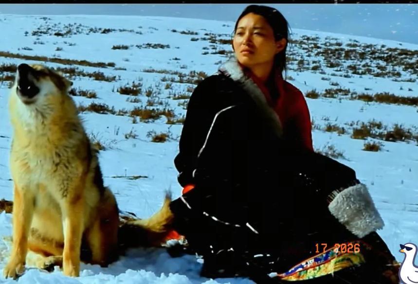 看到李微漪这事儿，真是把我的世俗三观按在地上摩擦。47岁，不结婚也没娃，就为