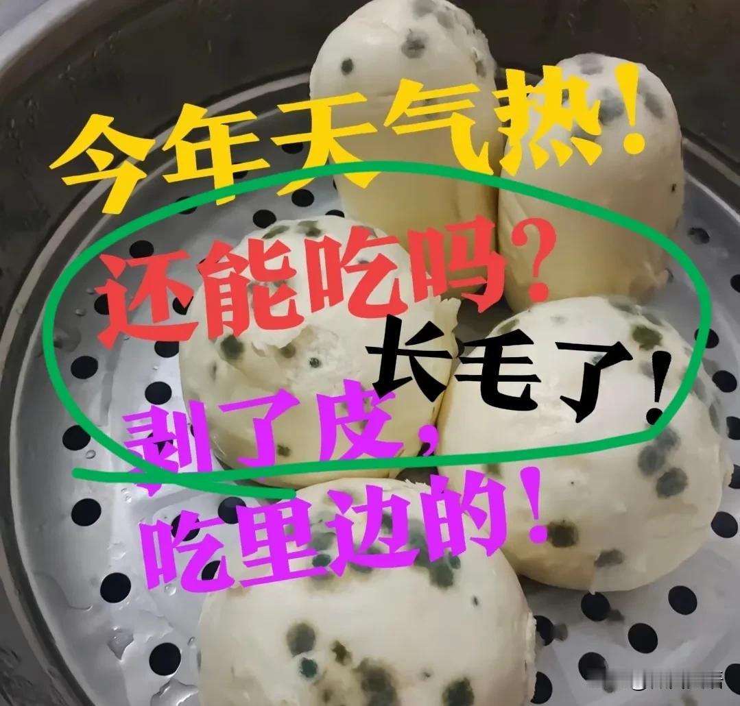 【长毛了！蒸馒头】太可惜了？怎么回事？今年过年天气热，东西都放不住，冰箱又放不