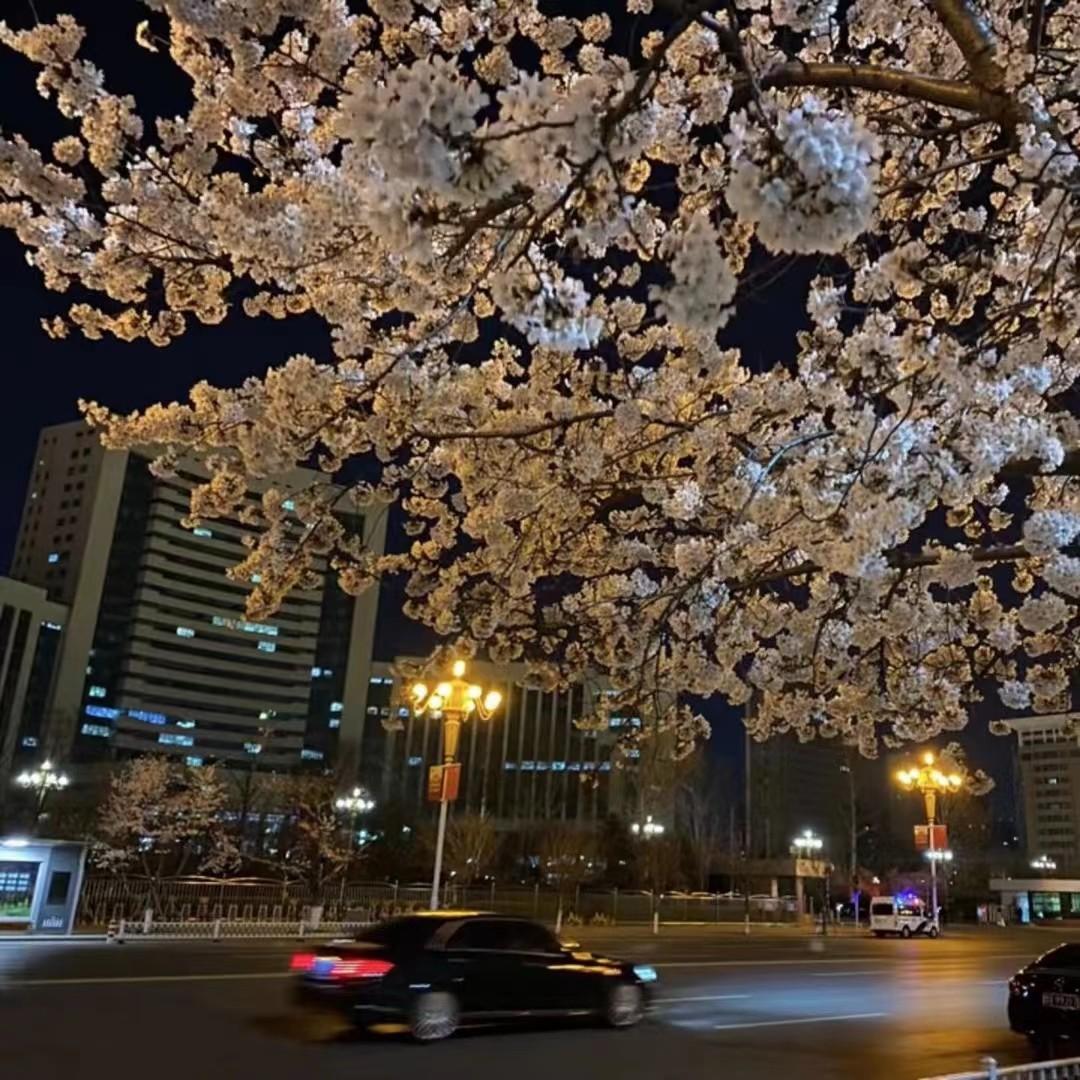 能分享一下你相册里的风景照片吗