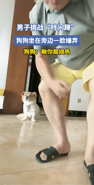 狗子的眼神，好似有点瞧不起主人哟！不过，狗子看到它的主人完事后，马上收起了它了讨