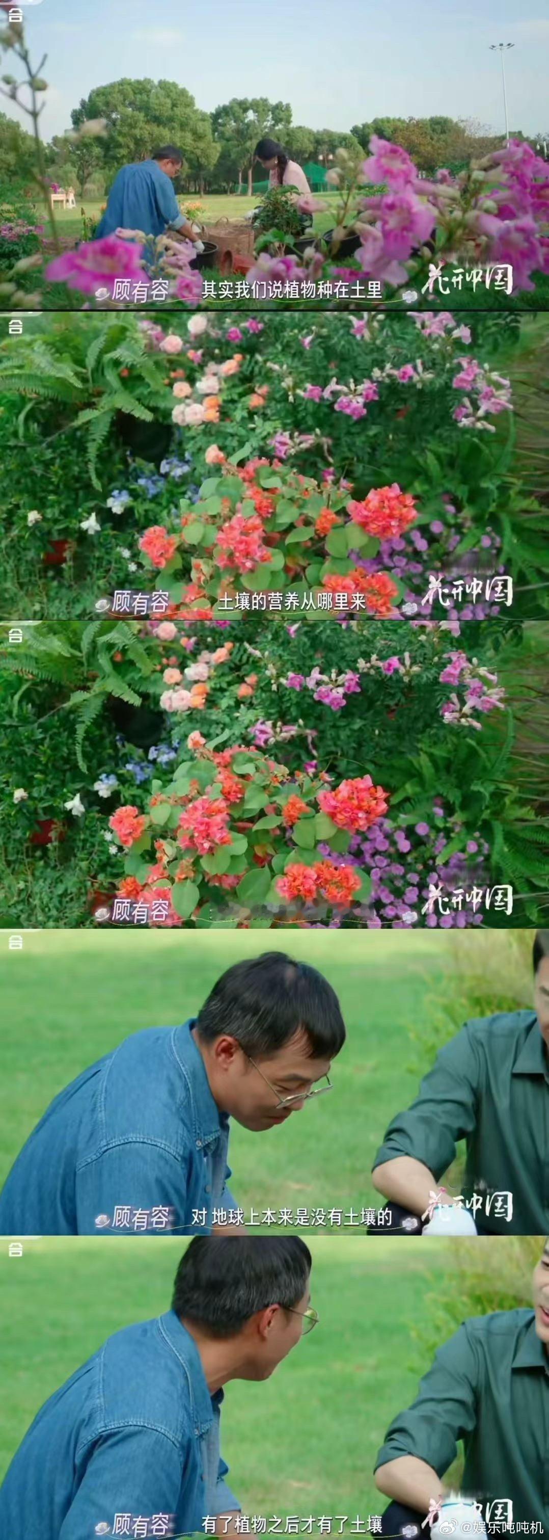 无土之初，先锋植物扎根硬岩，以生命轮回积累养分、风化岩层，经亿年孕育出土壤，滋养