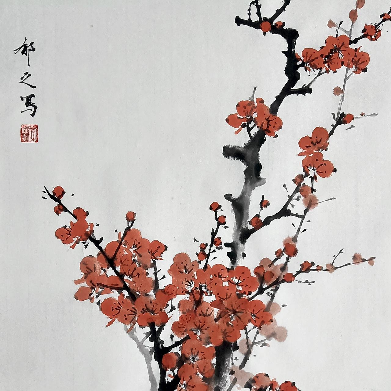 梅花花朵的形态不好