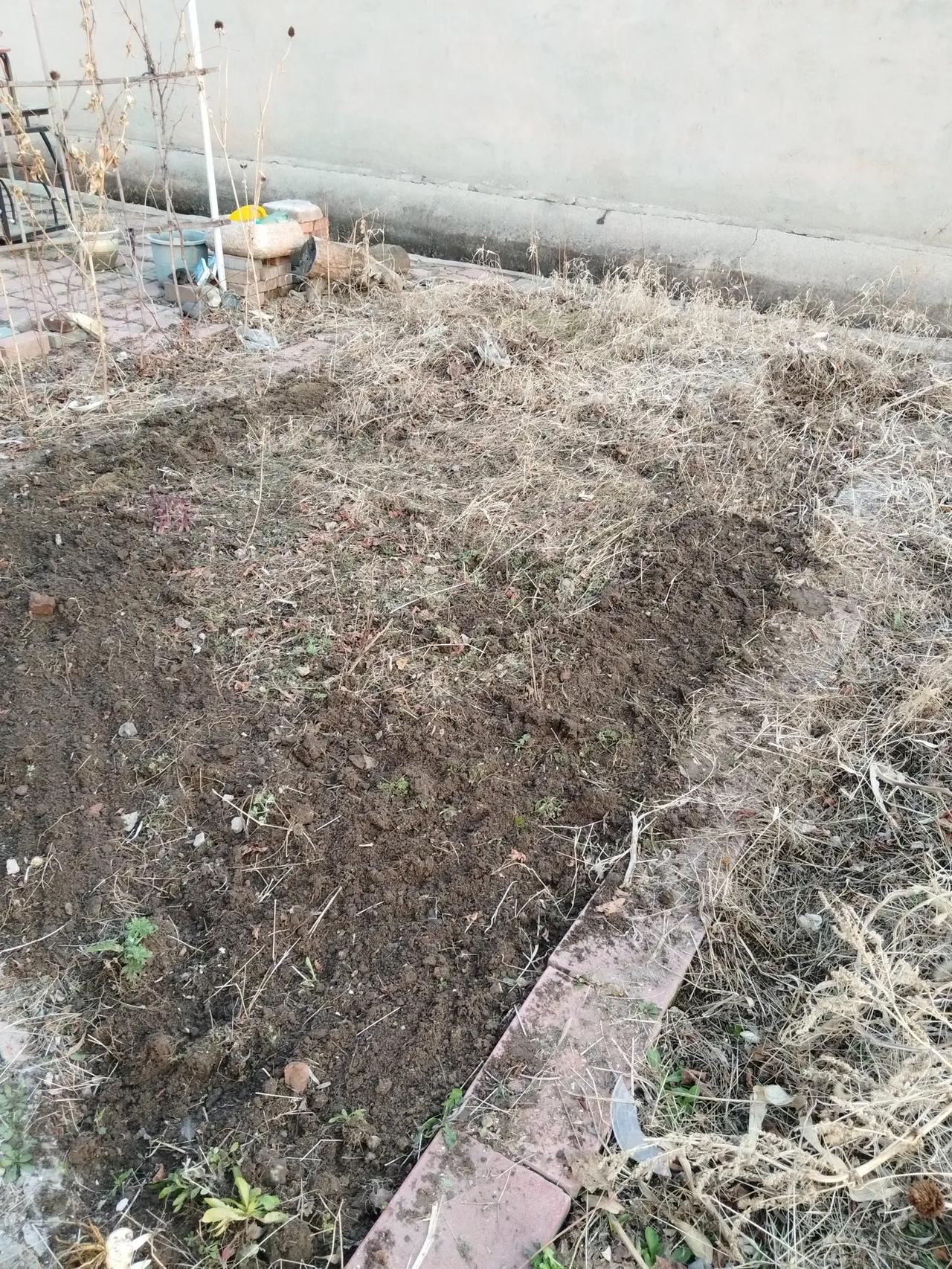 分享城市新鲜事还收拾一下了，准备种菜