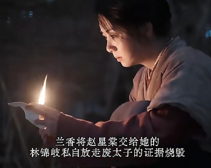 《兰香如故》兰香把赵星棠给她的林锦岐私自放走废太子的证据烧毁了！赵星棠也好惨，