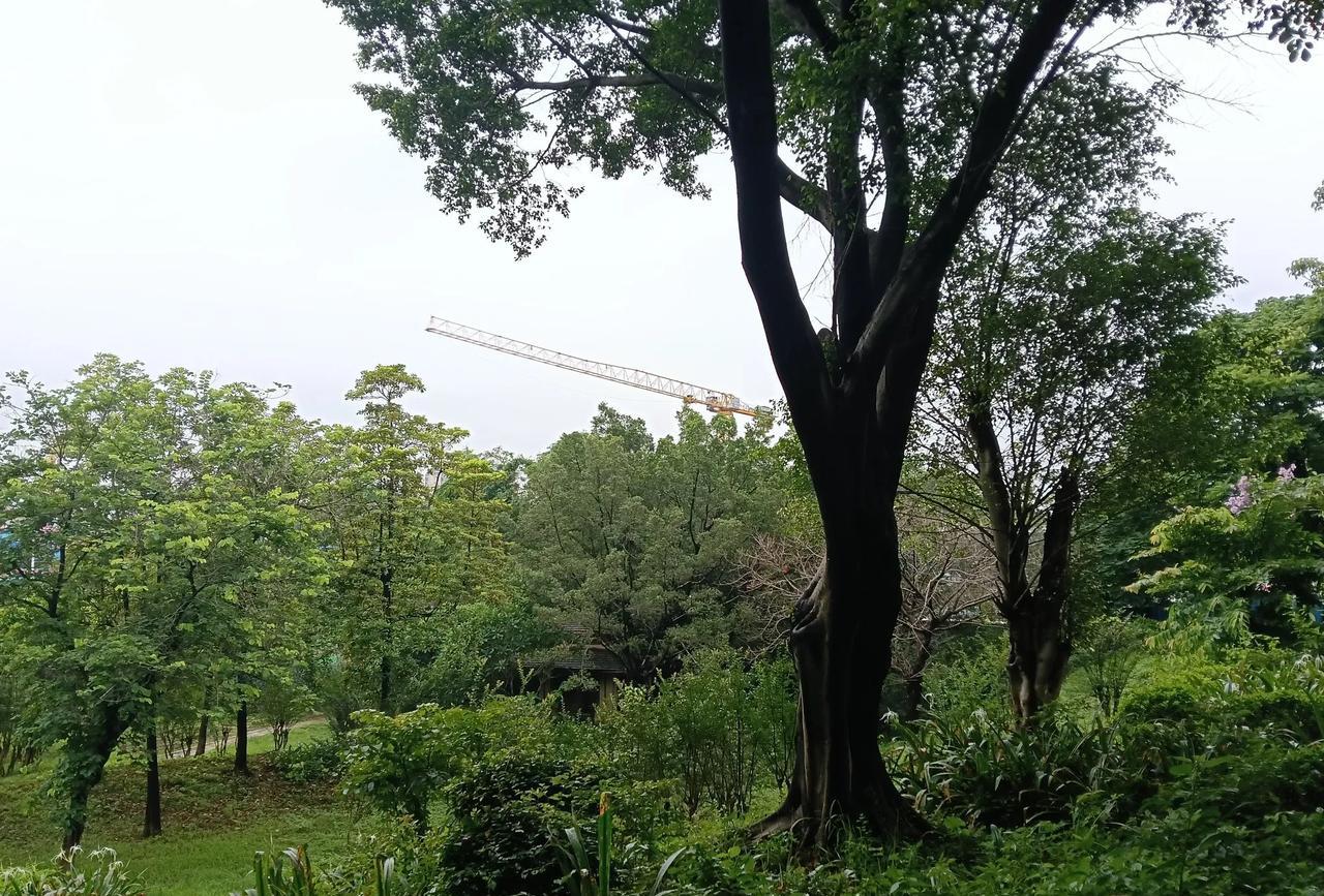 《摇鞭断宅》核心口诀一、“摇鞭断宅是真谛，全凭八卦作根基”强调以八卦为基础，